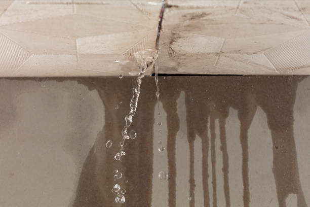 Professional Structural Drying technician working in North Branch, MI